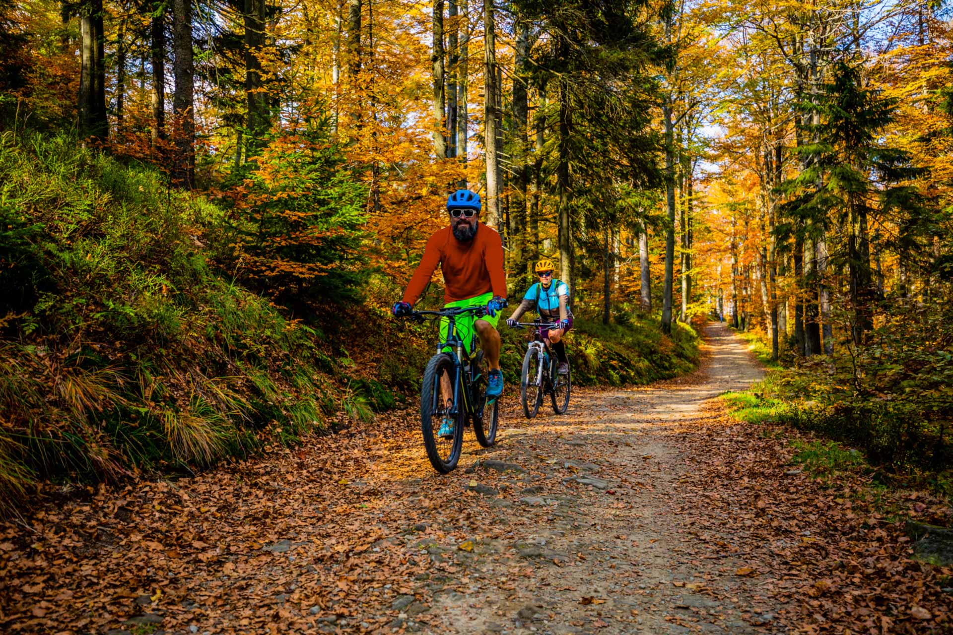 Fall Cycling in Nevada County