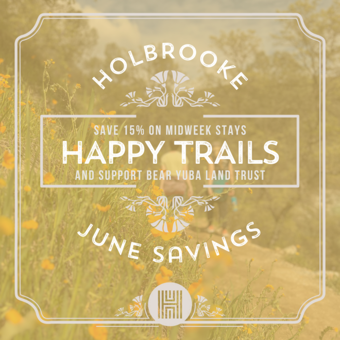 HOLBROOKE - Happy Trails